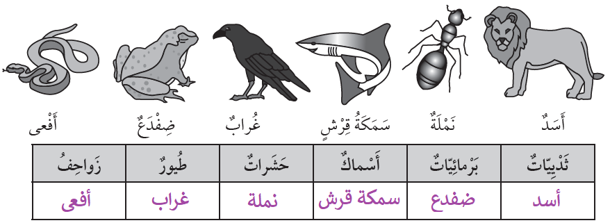 تصنيف الحيوانات